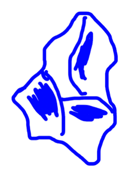 obsidian auto title doodle